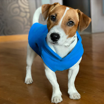 Manteau-pour-chien-Bleu-PolairPup