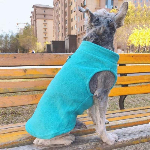 Manteau-pour-chien-Bleu-clair-PolairPup
