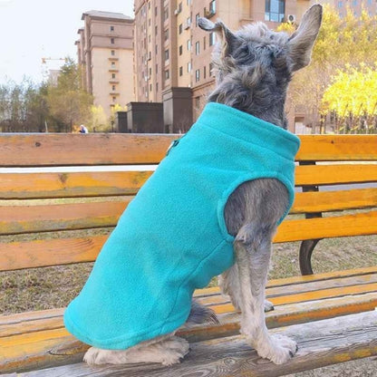 Manteau-pour-chien-Bleu-clair-PolairPup