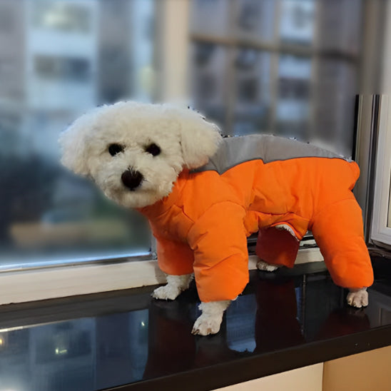 Manteau-pour-chien-Confort-ArcticPup