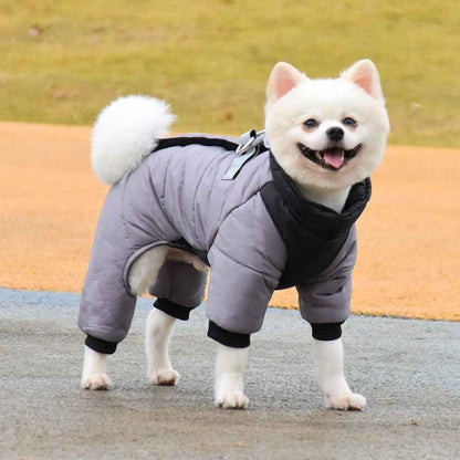 Manteau-pour-chien-Marche-NordikDog