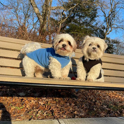 Manteau-pour-chien-Marche-PolairPup