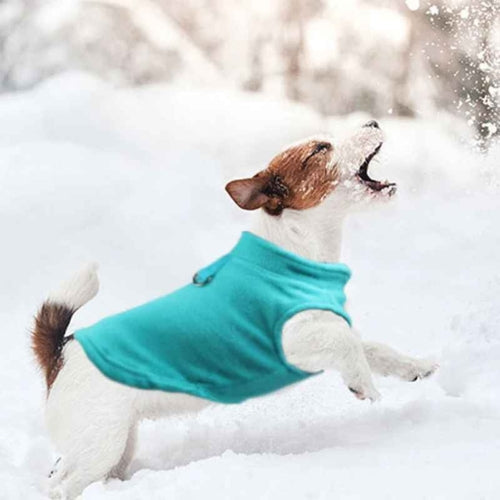 Manteau-pour-chien-Plaisir-PolairPup