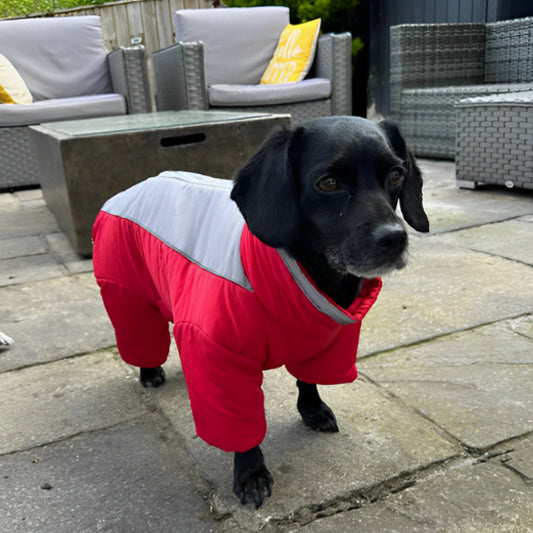 Manteau-pour-chien-Promenade-ArcticPup