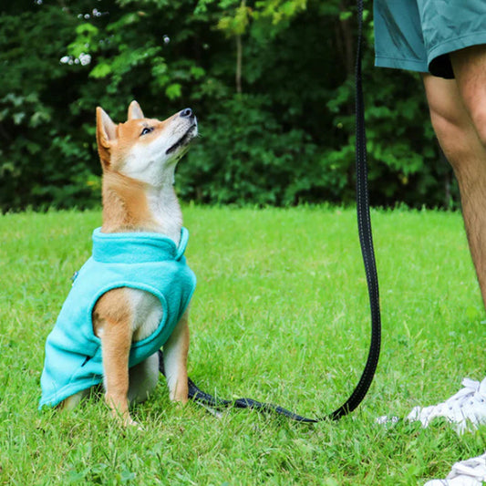 Manteau-pour-chien-Promenade-PolairPup