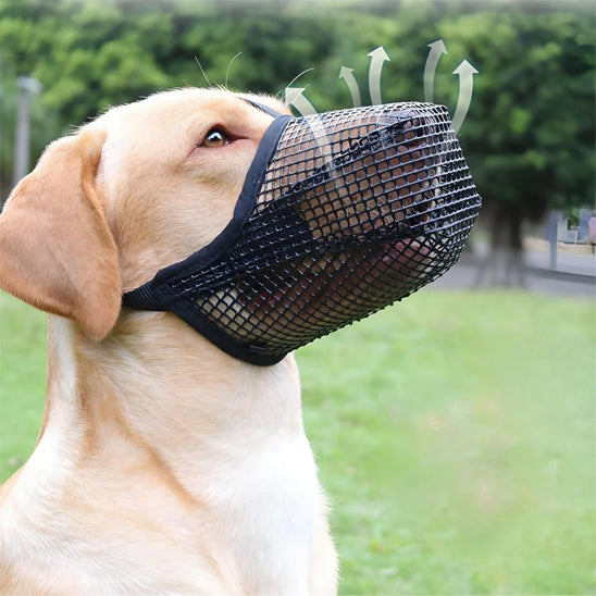 Museliere-chien-Confort-BiteLock