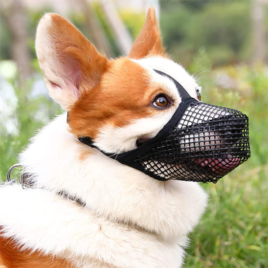 Museliere-chien-Noir-BiteLock