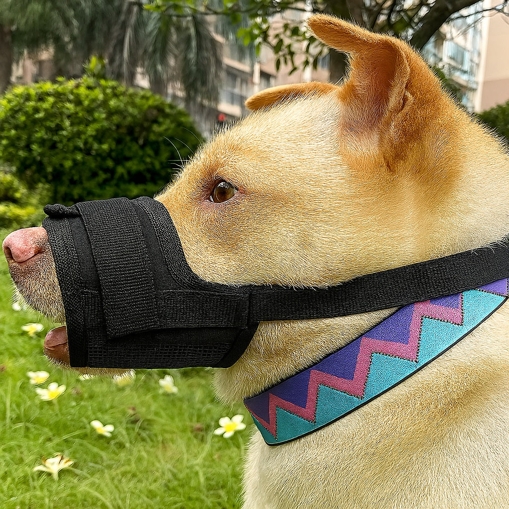 Museliere-chien-Noir-SafeBite