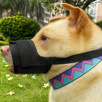 Museliere-chien-Noir-SafeBite
