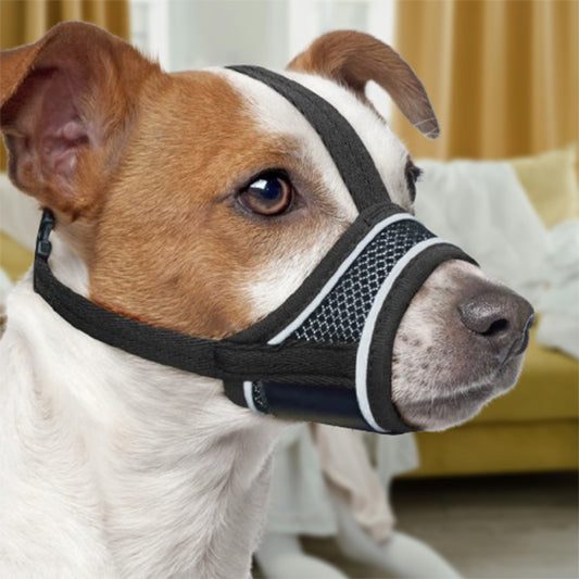 Museliere-chien-Noir-SecurePaw
