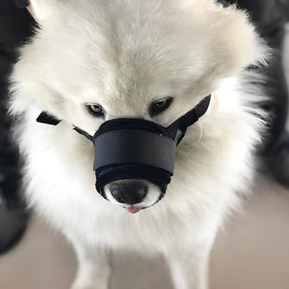 Museliere-chien-Promenade-SafeBite