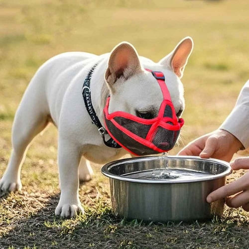 Museliere-pour-chien-Confort-AirMuzzle