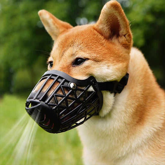 Museliere-pour-chien-Noir-MuseFlex