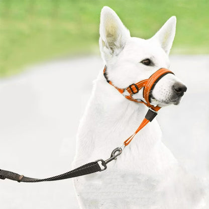 Museliere-pour-chien-Orange-SafeWalk