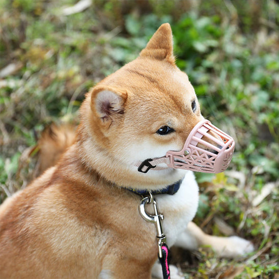 Museliere-pour-chien-Promenade-MuseFlex