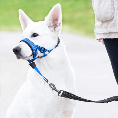 Museliere-pour-chien-Promenade-SafeWalk