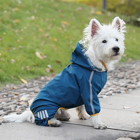 Vetement-chien-Bleu-UrbanRain
