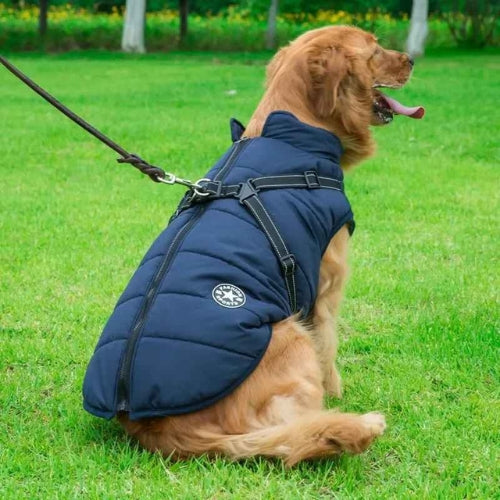 Vetement-chien-Bleu-marine-UrbanStar