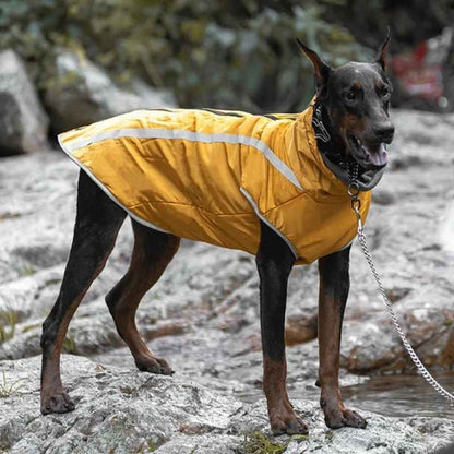 Vetement-chien-Confort-BrightWalk