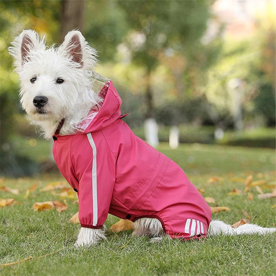 Vetement-chien-Confort-UrbanRain