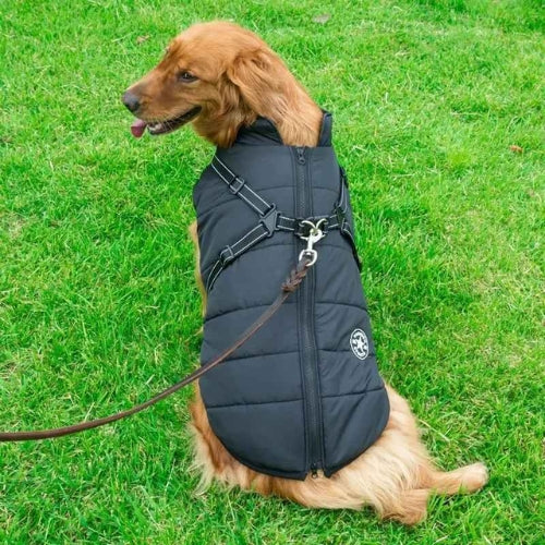 Vetement-chien-Noir-UrbanStar