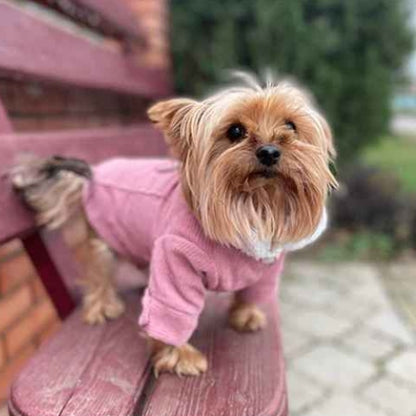 Vetement-chien-Plaisir-ClassicWoof
