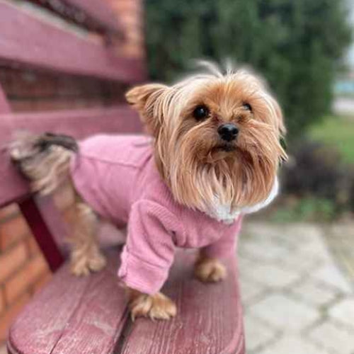 Vetement-chien-Plaisir-ClassicWoof