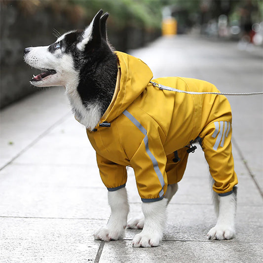 Vetement-chien-Promenade-UrbanRain