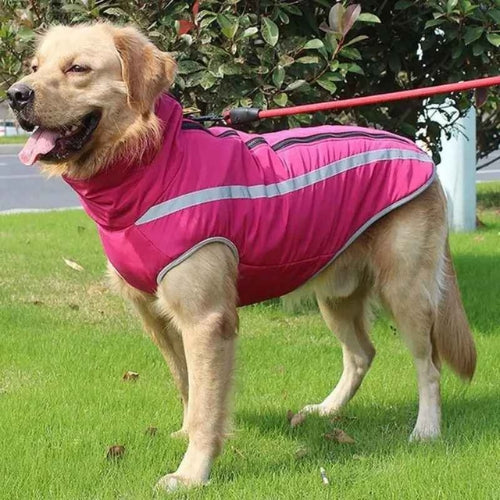 Vetement-chien-Rose-BrightWalk