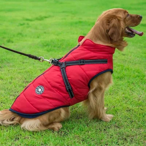 Vetement-chien-Rouge-UrbanStar