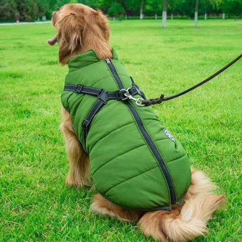 Vetement-chien-Vert-UrbanStar