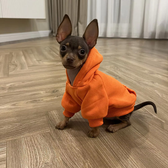 Vetement-pour-chien-Confort-PawHoodie