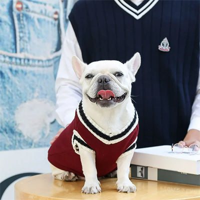 Vetement-pour-chien-Confort-RoyalPup