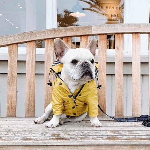 Vetement-pour-chien-Jaune-PawRain