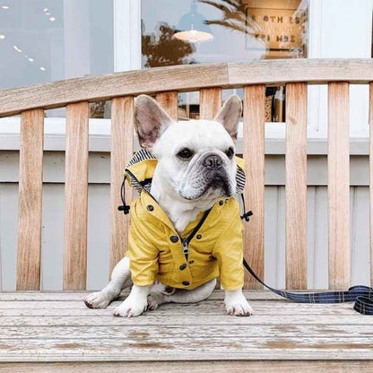 Vetement-pour-chien-Jaune-PawRain