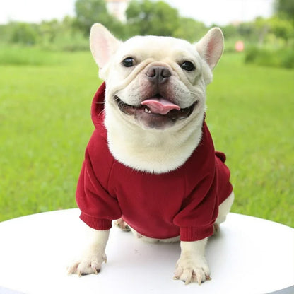 Vetement-pour-chien-Marche-PawHoodie