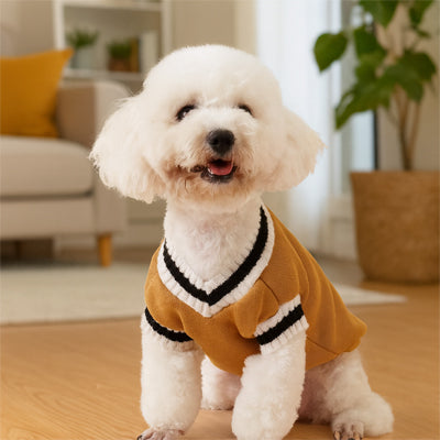 Vetement-pour-chien-Marche-RoyalPup