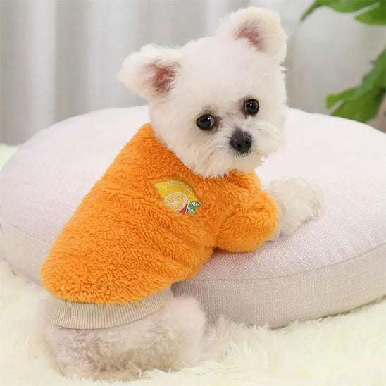 Vetement-pour-chien-Orange-FluffyPup