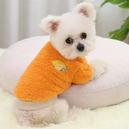 Vetement-pour-chien-Orange-FluffyPup