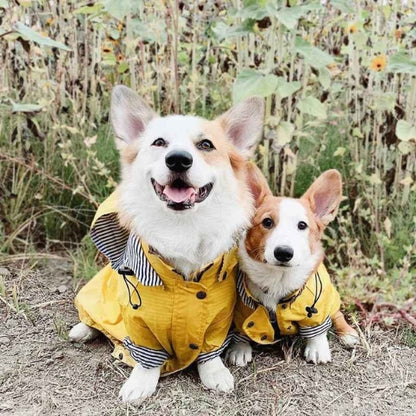 Vetement-pour-chien-Plaisir-PawRain