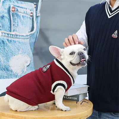 Vetement-pour-chien-Plaisir-RoyalPup