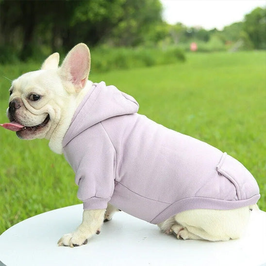 Vetement-pour-chien-Promenade-PawHoodie