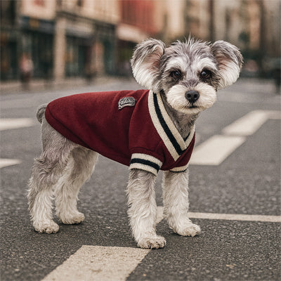Vetement-pour-chien-Promenade-RoyalPup
