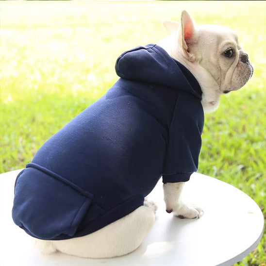 Vetement-pour-chien-Qualite-PawHoodie