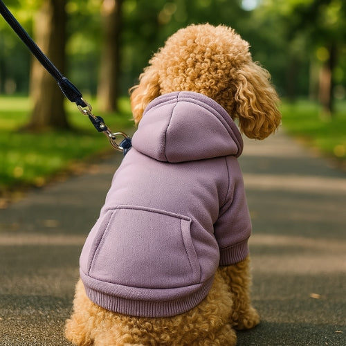 Vetement-pour-chien-Violet-PawHoodie