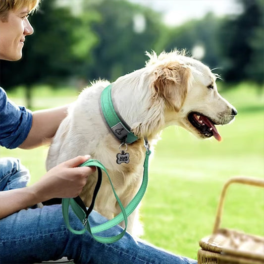 collier chien cyan WoofyLoop