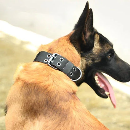Collier chien noir DogOps