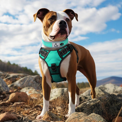 collier chien exterieur WoofyLoop