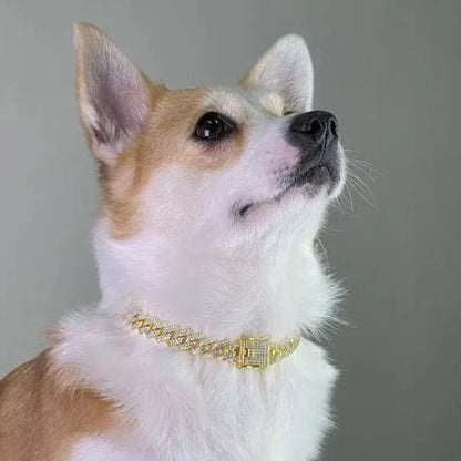 Collier chien or NoblePaw