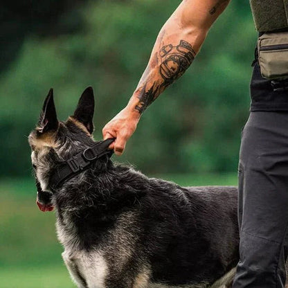 Collier chien avec poigne pour la sécurité Pawllar